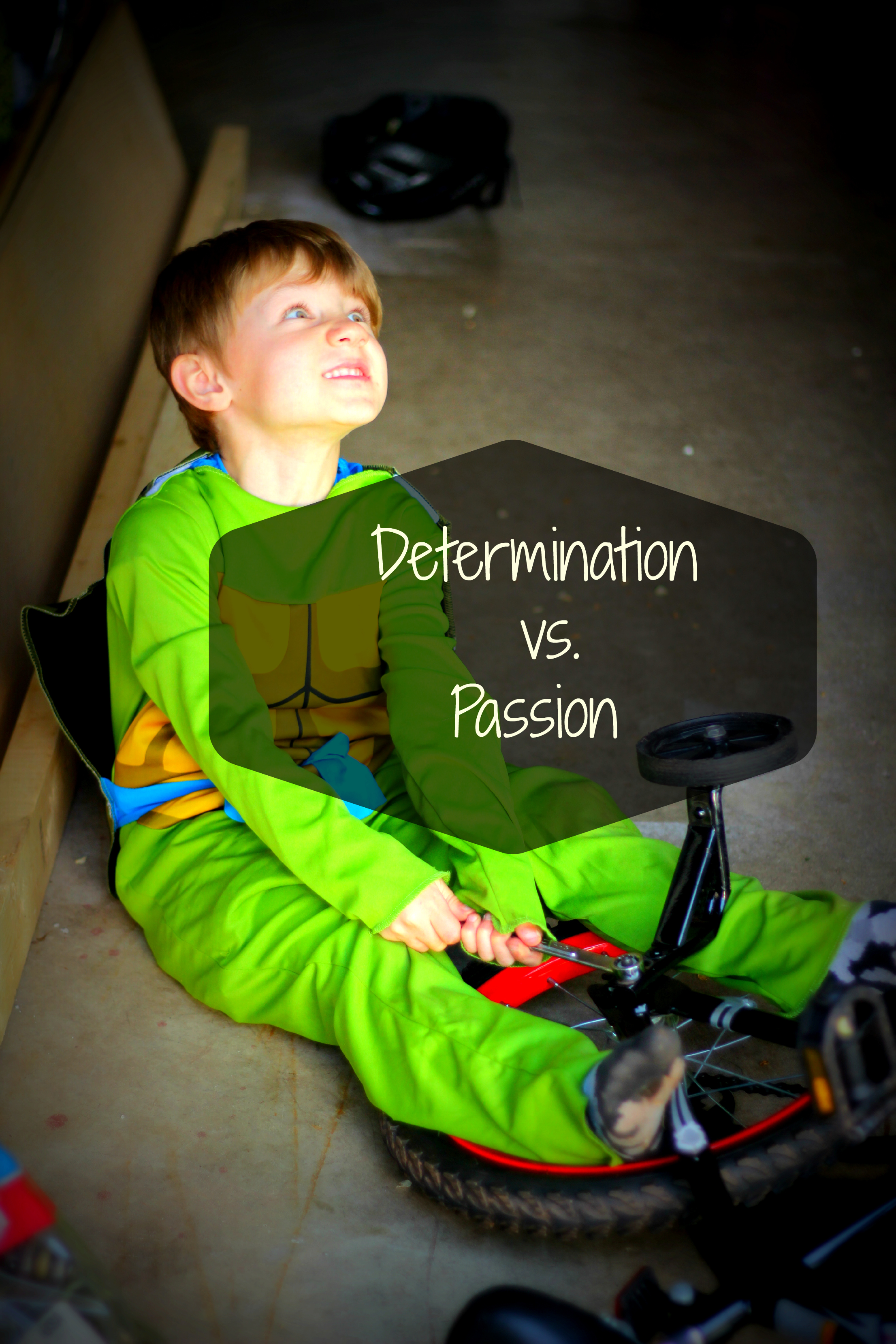 Determination vs. Passion