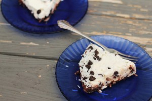 Coconut Chocolate Chip Ice Cream Pie