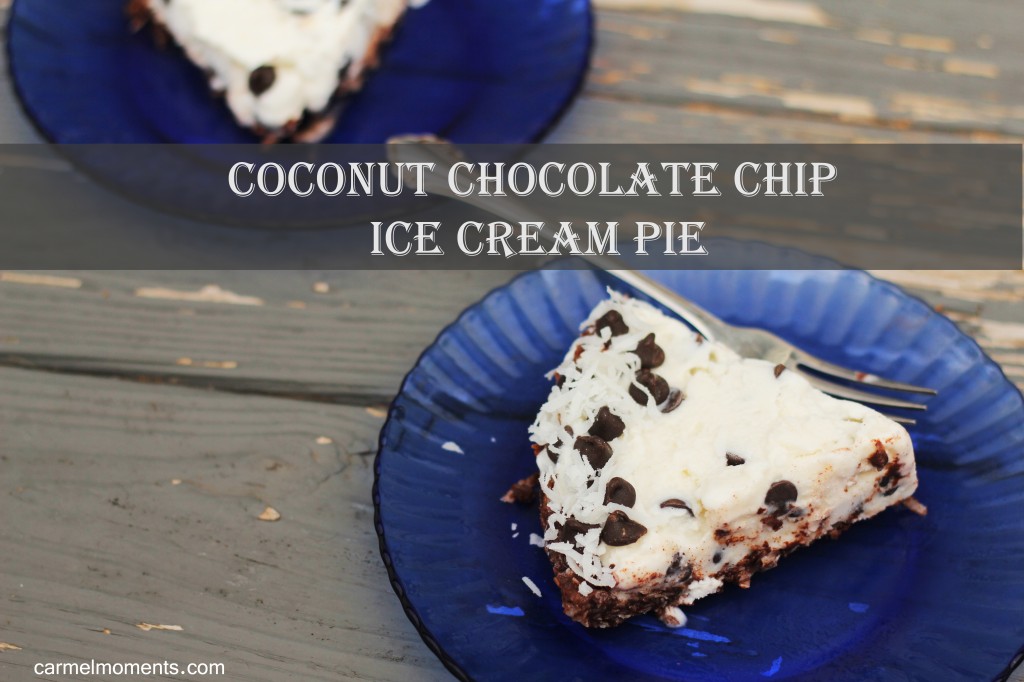 Coconut choco chip ice cream pie