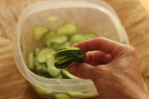 Cucumber salad carmelmoments.com