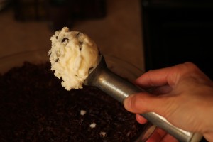 Coconut Chocolate Chip Ice Cream Pie
