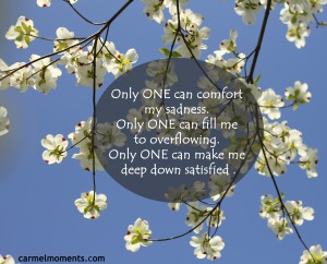 Only ONE can comfort my sadness. Only ONE can fill me to overflowing. Only ONE can make me deep down satisfied .