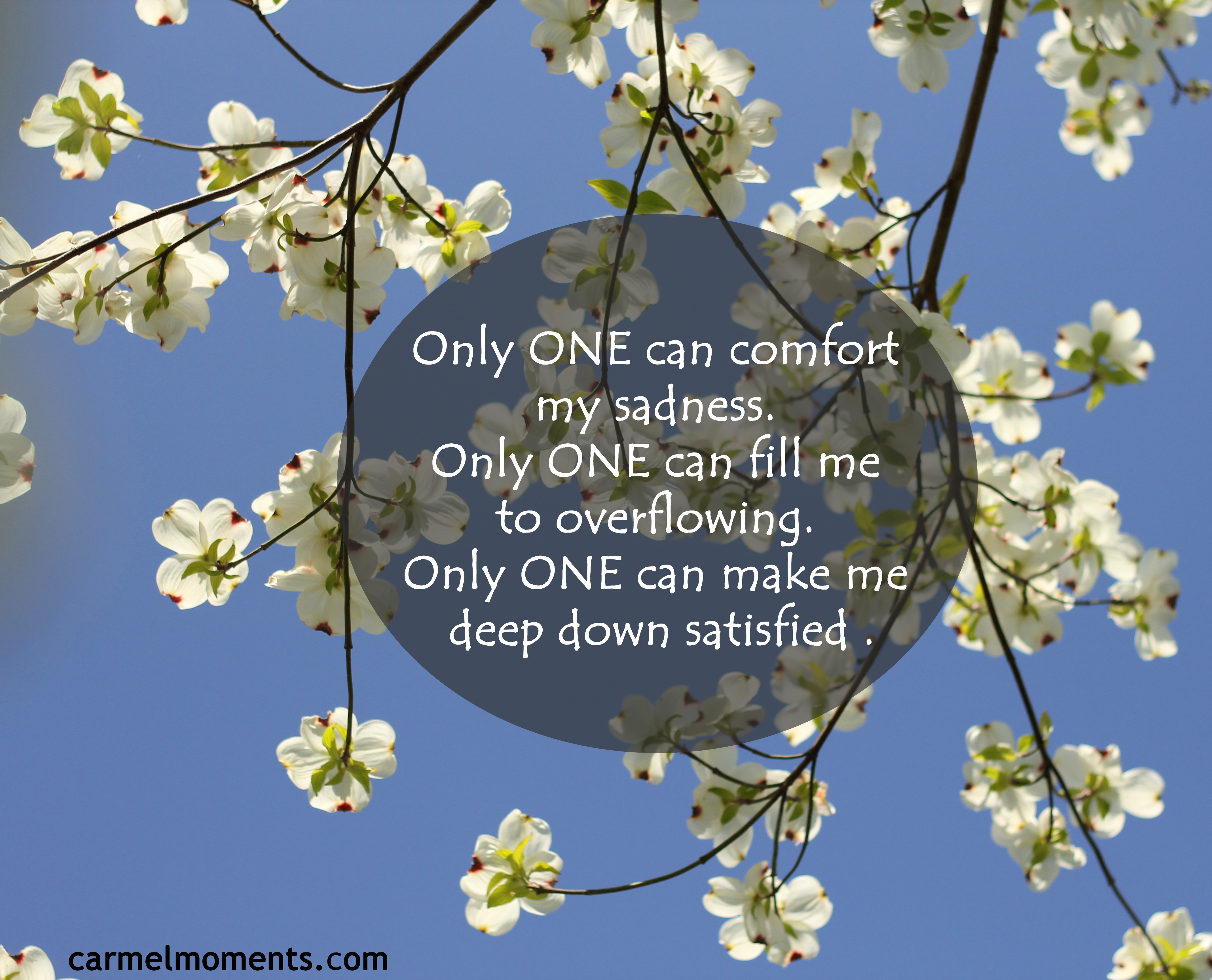 Only ONE can comfort my sadness. Only ONE can fill me to overflowing. Only ONE can make me deep down satisfied .