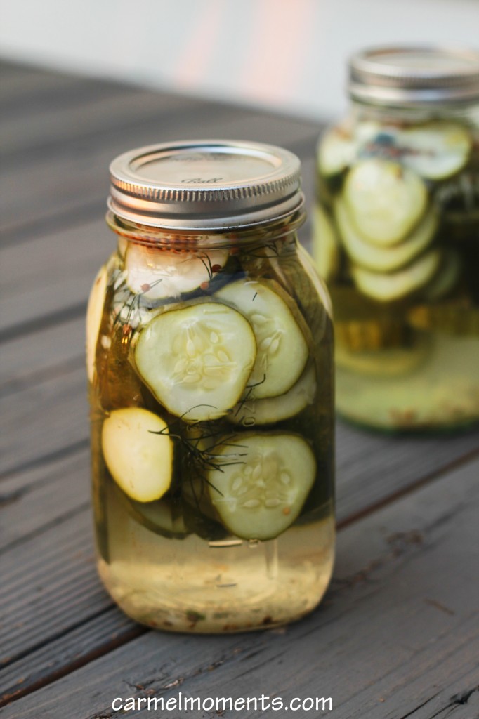 Refrigerator Dill Jewish Pickles