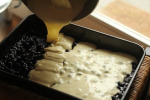 Blueberry Ribbon Cheesecake Bars