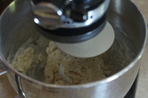 Asiago Ciabatta