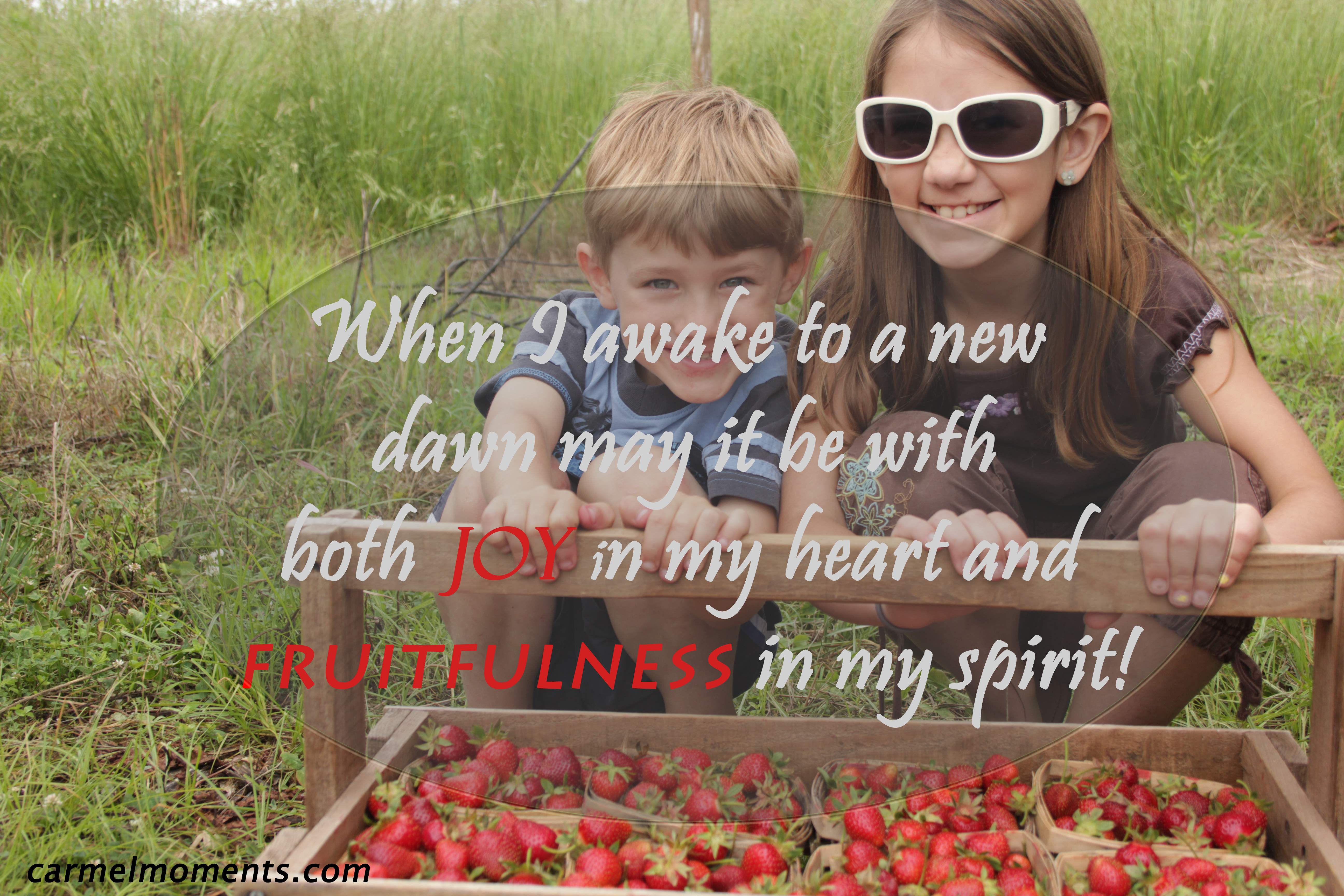 When I awake to a new dawn may it be with both joy in my heart and fruitfulness in my spirit!