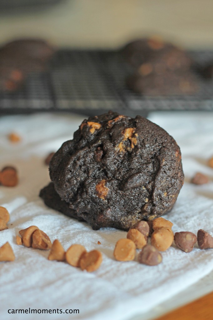 Dark Chocolate Peanut Butter Cookies| gatherforbread.com