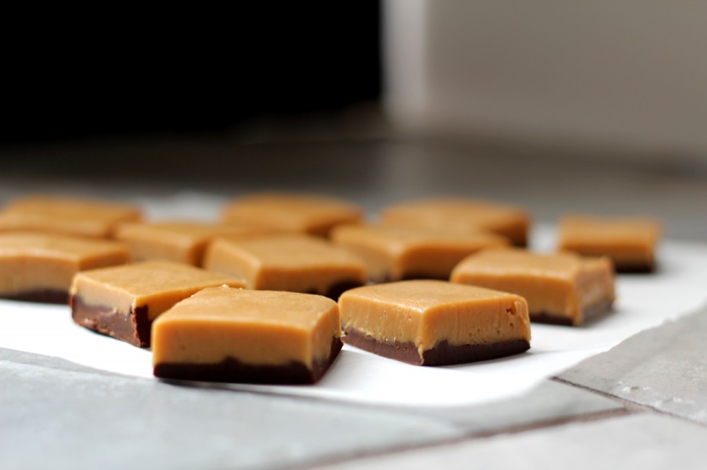 Biscoff Chocolate Layered Fudge | gatherforbread.com