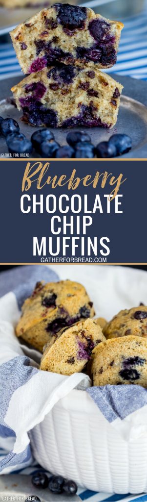 Blueberry Chocolate Chip Muffins - Homemade soft fluffy muffins made with fresh blueberries and chocolate chips. Bake them for breakfast or dessert, a summer favorite.