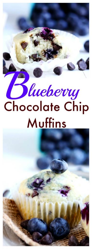 Blueberry Chocolate Chip Muffins - Delicious soft fluffy muffins studded with fresh blueberries and chocolate chips. Bake up in 20 minutes. A summer favorite!
