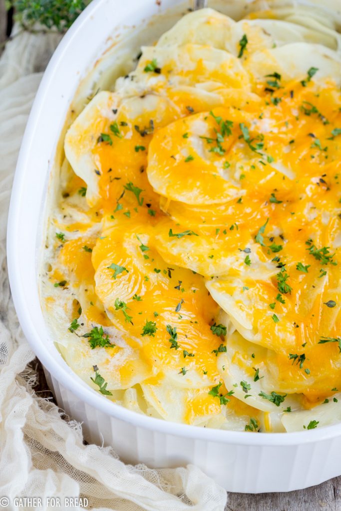 Cheesy Scalloped Potatoes - How to make cheesy scalloped potatoes from scratch. Homemade creamy cheese sauce, this is a great side dish with any holiday meal. 