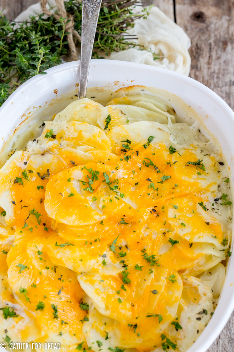 Cheesy Scalloped Potatoes - How to make cheesy scalloped potatoes from scratch. Homemade creamy cheese sauce, this is a great side dish with any holiday meal. 