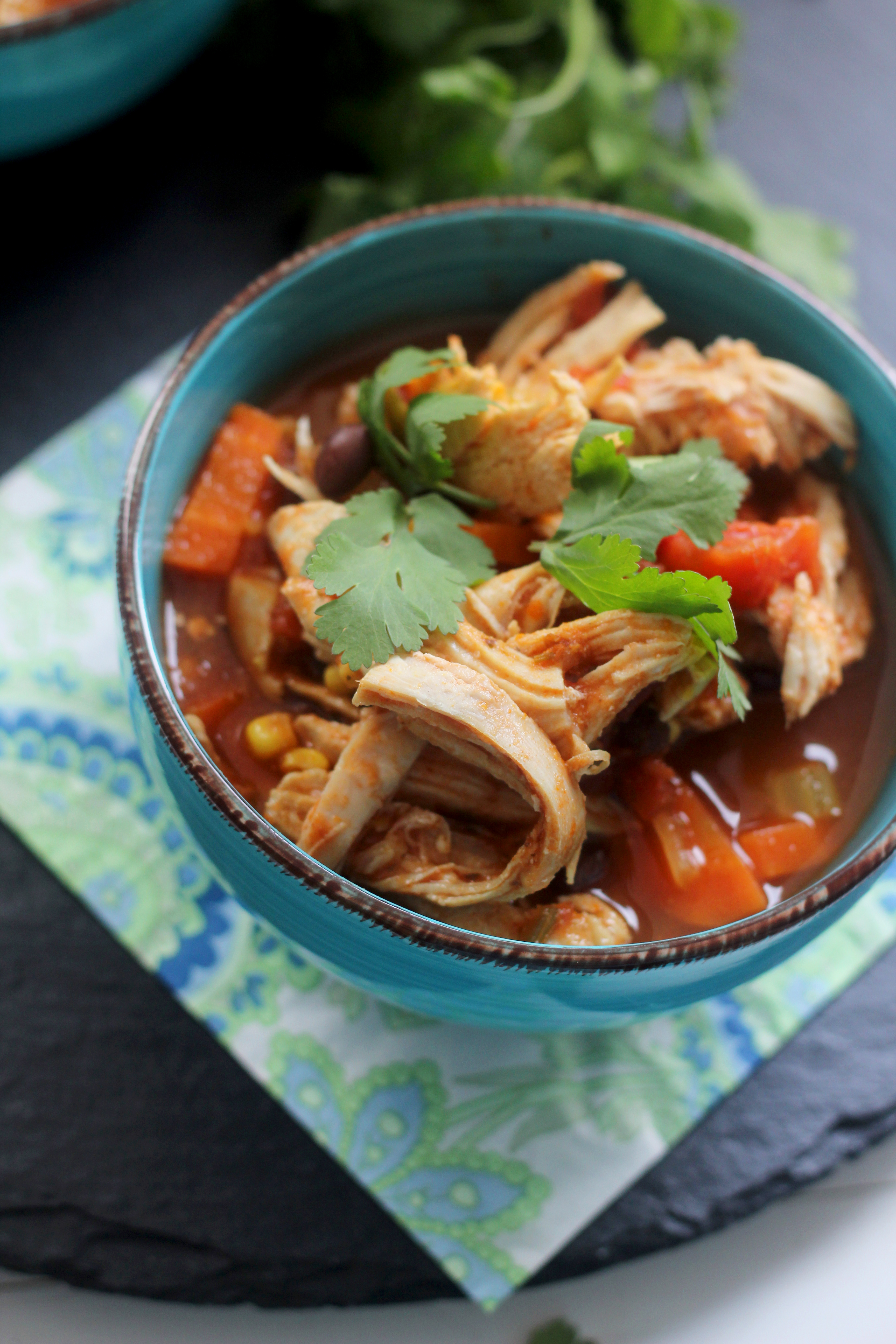 Southwest Chicken Vegetable Soup