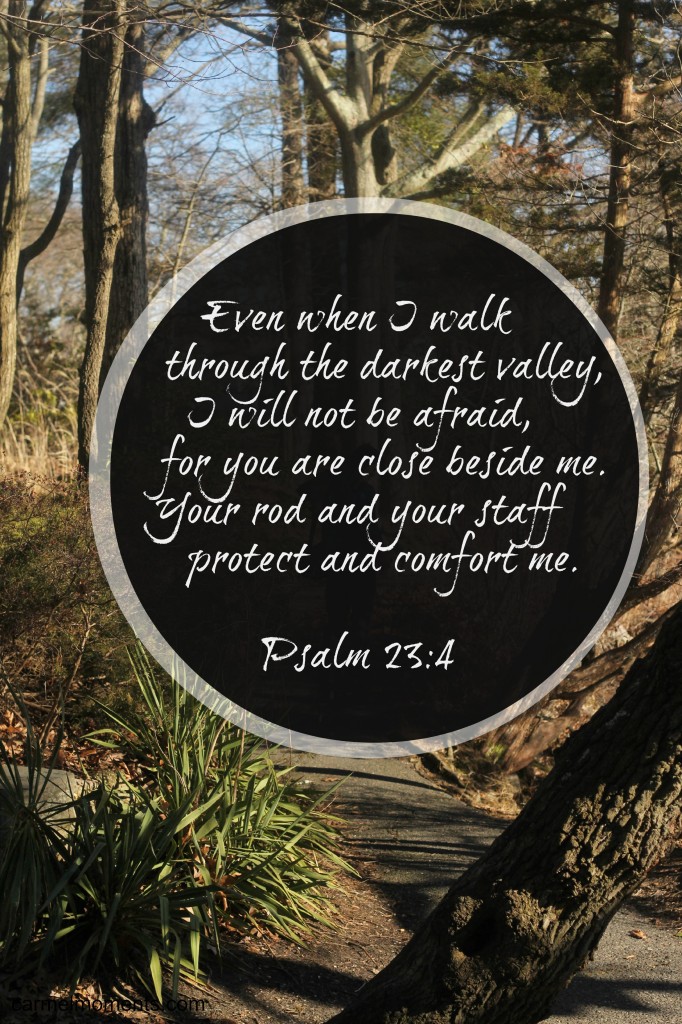 Psalm 23 4