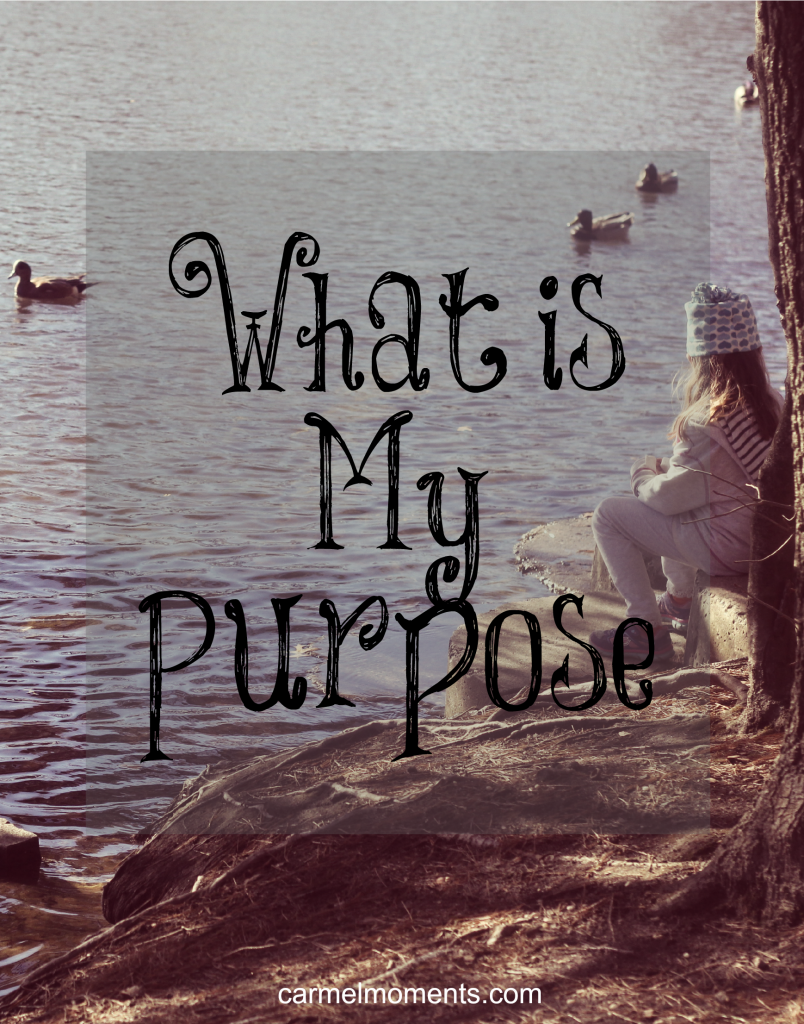 What is My Purpose | Carmel Moments