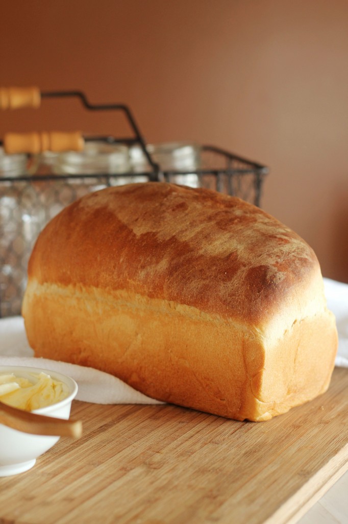 Buttermilk American Sandwich Bread 