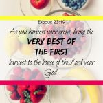 The Very Best of My First