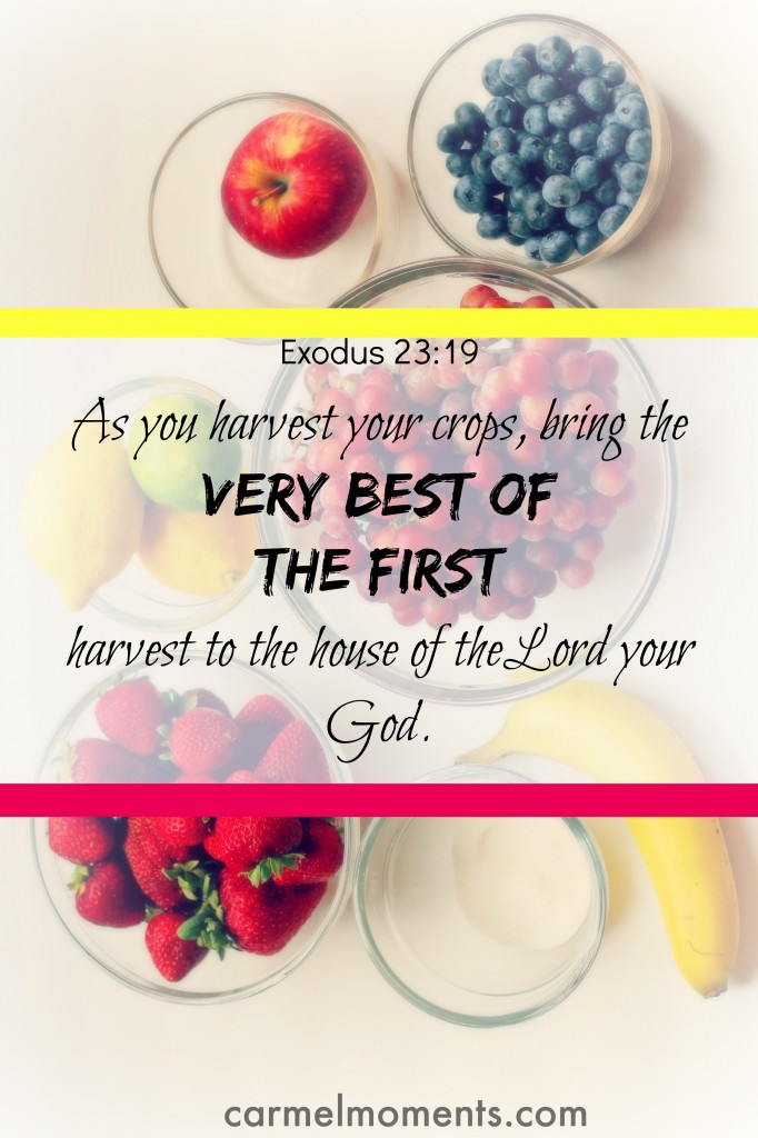 Exodus 23:19 Bible verse