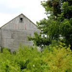 Our Summer So Far – July Edition