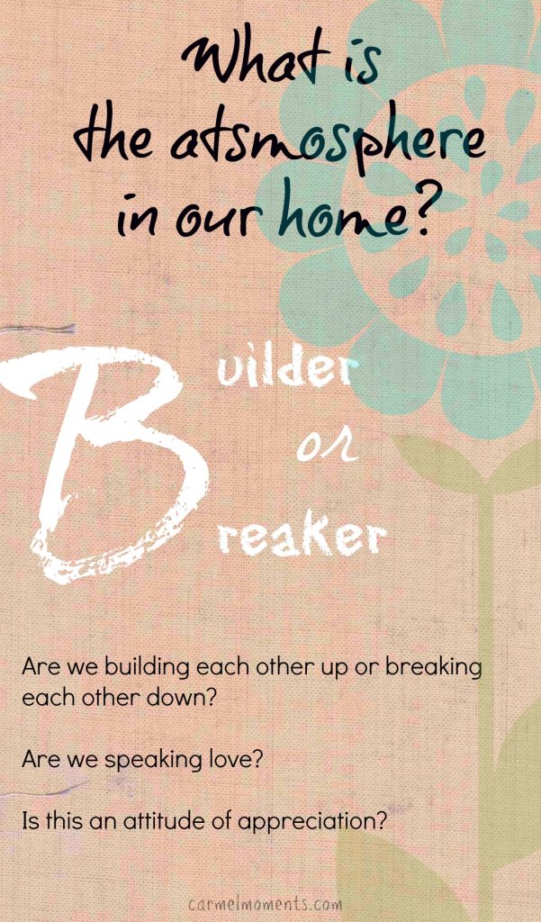Builder or breaker