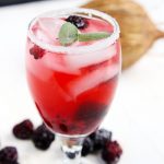 Sparkling Blackberry Coconut Spritzer
