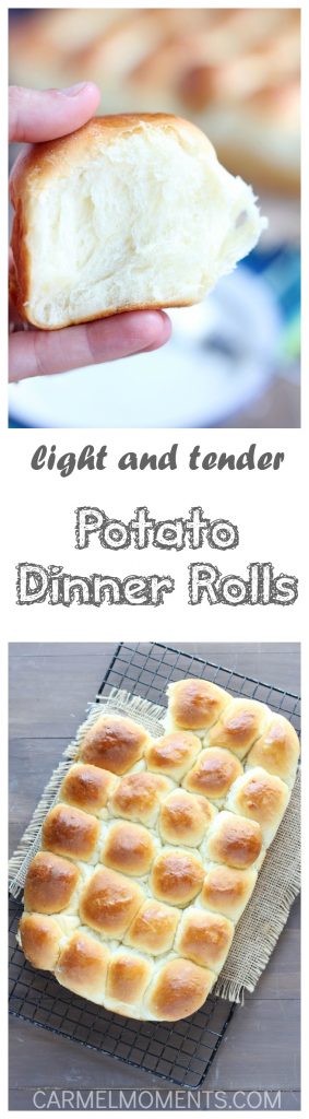 Light Tender Potato Dinner Rolls - Pull apart potato rolls recipe for light tender buns. Made with real potato and butter. Easy to make ahead and refrigerate overnight. Perfect for holidays, Easter Christmas. 