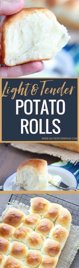 Light Tender Potato Dinner Rolls - Pull apart potato rolls recipe for light tender buns. Made with real potato and butter. Easy to make ahead and refrigerate overnight. Perfect for holidays, Easter Christmas.