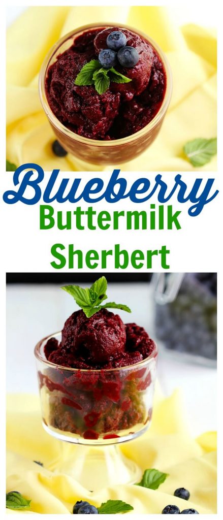 Blueberry Buttermilk Sherbert - Delicious creamy sherbert made with fresh blueberries, buttermilk a hint of vanilla and topped with fresh mint for garnish. Perfect summer dessert to cool down.