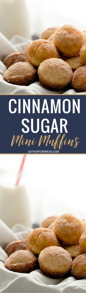 Cinnamon Sugar Mini Muffins - Soft, fluffy bite sized muffins covered with cinnamon and sugar. Perfect for breakfast or dessert. Make these for on the go or quick mornings. 