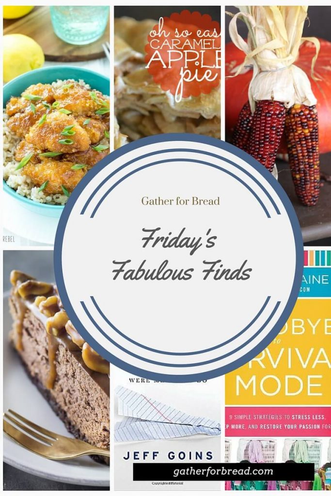 Friday's Fabulous Finds Week #1