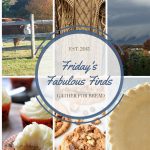 Friday’s Fabulous Finds {Week 6}