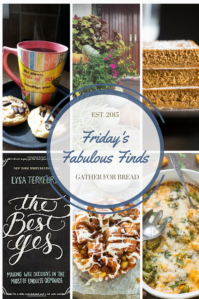 Friday’s Fabulous Finds {Week #2}