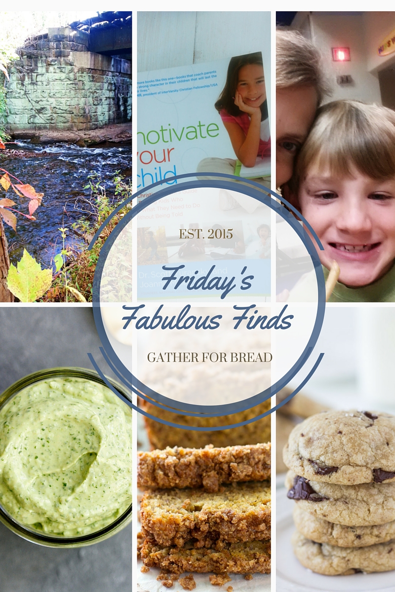 Friday’s Fabulous Finds {Week #3}