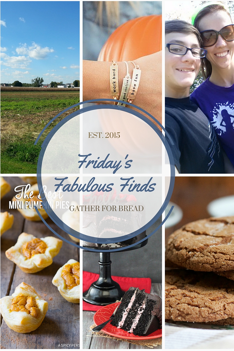 Friday’s Fabulous Finds {Week #4}