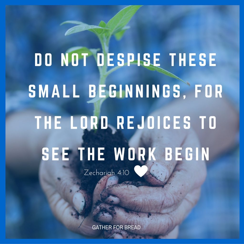 Do not despise these small beginnings Zechariah 4-10 | GATHERFORBREAD.COM