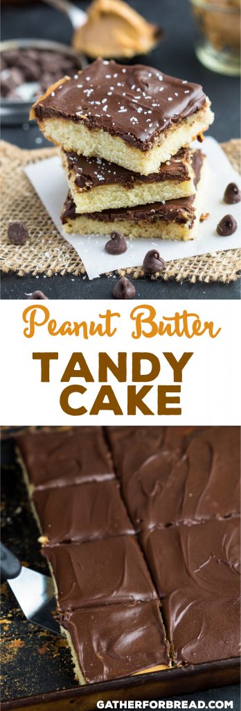 Peanut Butter Tandy Cake - Classic copycat recipe. Homemade yellow snack cake layered with peanut butter and a chocolate glaze. #peanutbutter #chocolate #tandy #cake #dessert #bars