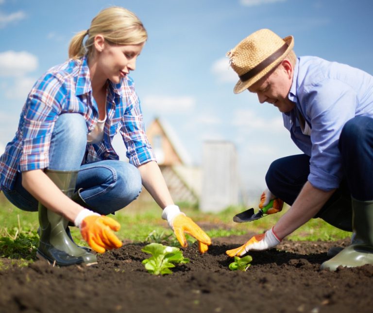 6 Ways to Connect with Your Neighbor Now - Gather for Bread
