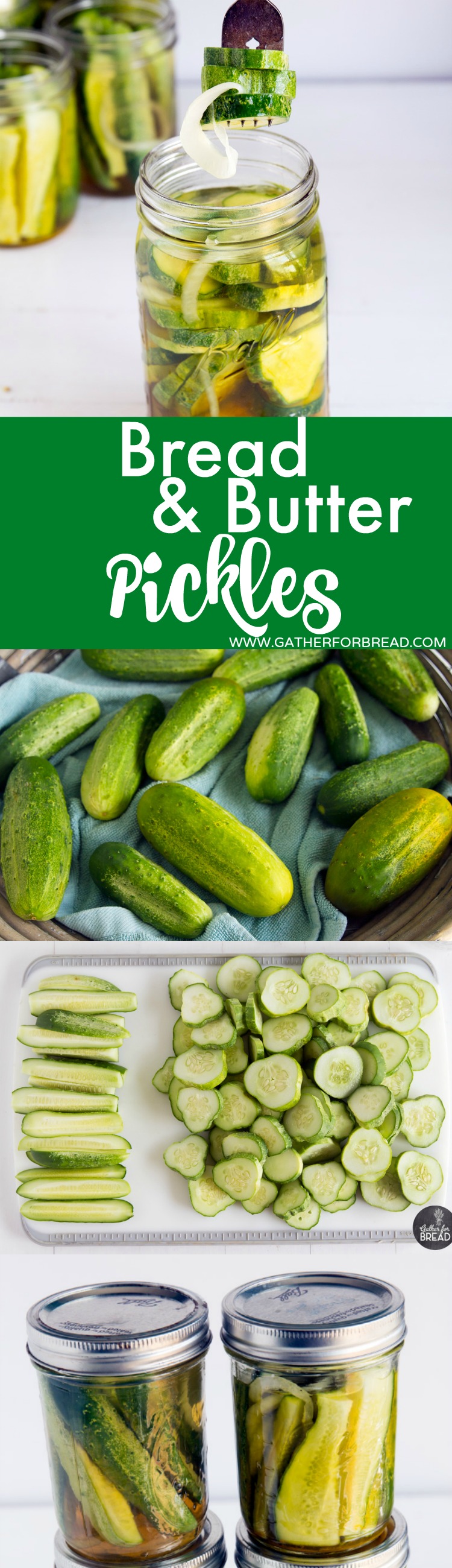 Bread and Butter Refrigerator Pickles - Quick sweet, crunchy refrigerator pickles. No heating, no canning, easy small batch recipe. Make fresh sweet pickles for summer.