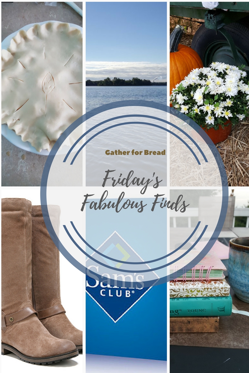 Friday Fabulous Finds Week 12