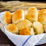 Amish Dinner Rolls