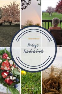 ridays Fabulous Finds Week 15