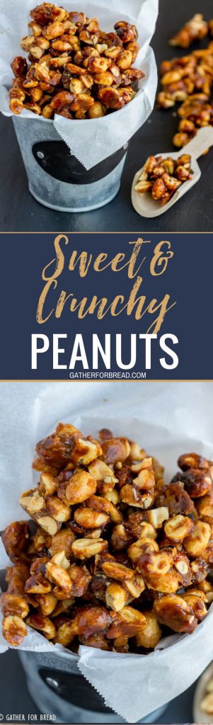 Sweet and Crunchy Peanuts - Glazed peanuts with a sweet homemade mixture of sugar and butter for easy snacking. Perfect for the holidays! Homemade gift from your kitchen to theirs.#giftidea #peanuts #homemade #gifts #sweet #nuts